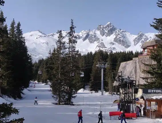 a group of people riding skis down a snow covered slope